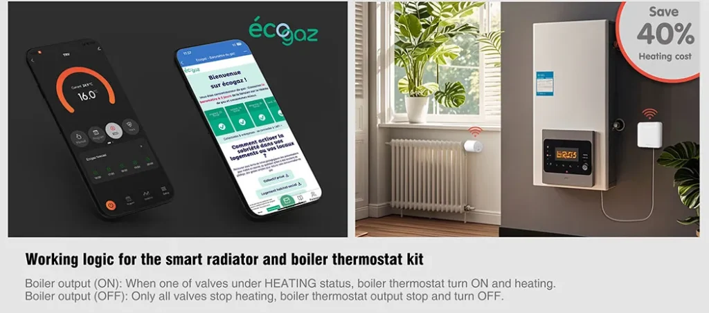 France Energy Rebate Thermostat